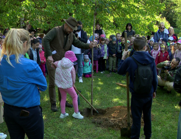Madarak és Fák Napja – Élményekkel teli természetismereti programok a botanikus kertben
