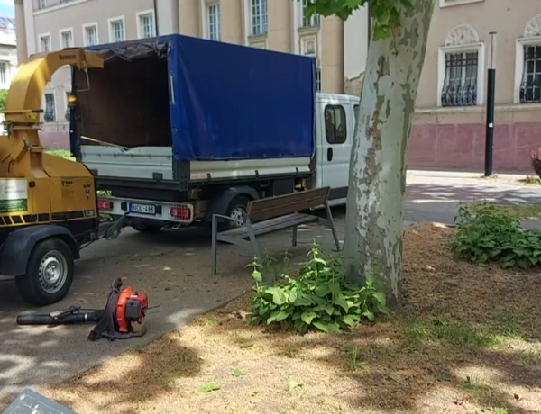 Folytatódnak a gallyazási munkálatok a Benczúr téren