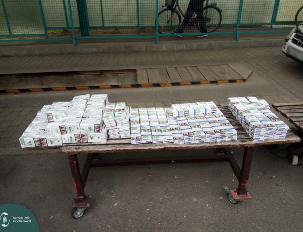 Buba bukkant a cigire – A NAV kutyája egyből jelzett