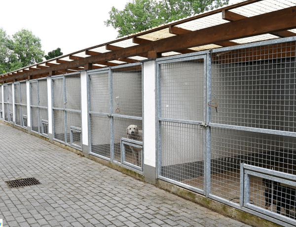 Egyes állatvédelemhez kapcsolódó megállapodások és akcióterv