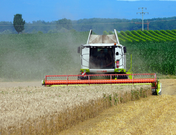 Mezőgazdasági támogatástok – Figyeljünk a határidőkre, hogy sikeres legyen az igénylés!