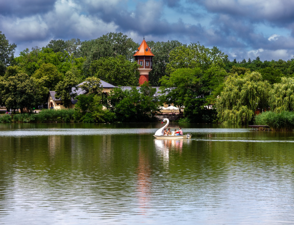 Sóstói Fitt Esték - Tálcán kínálják az egészséget