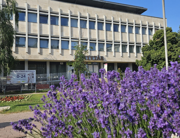 Nyár, könyvtár, olvasás, akár a strandon is