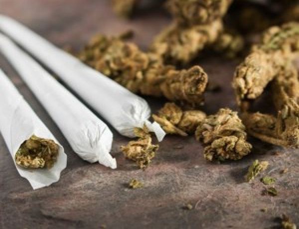 „Törjük meg a kört. Állítsuk meg a szervezett bűnözést!”