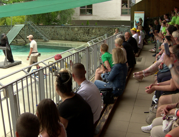 Együtt-Egymásért – A Nyíregyházi Állatkert adott otthont a fogyatékkal élők fesztiváljának