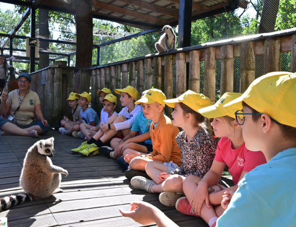 Elkezdődött a 2025-ös ZooSuli – Játékos formában ismerik meg az állatok világát a gyerekek