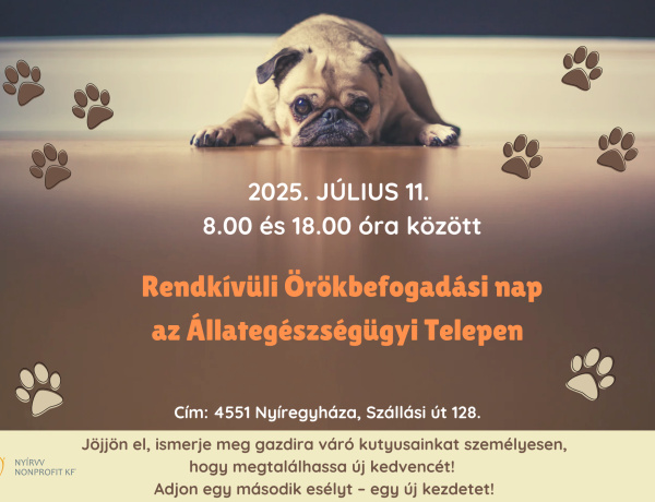 Rendkívüli Örökbefogadási Nap – Egy életre szóló barátság kezdete!