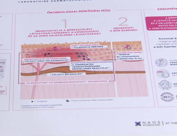 Bőrvédelem – Kiemelten fontos figyelnünk bőrünk állapotára a nyári időszakban