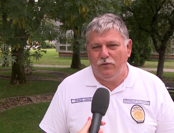 Elkezdődött a parlagfűszezon – Fokozott ellenőrzések a városban