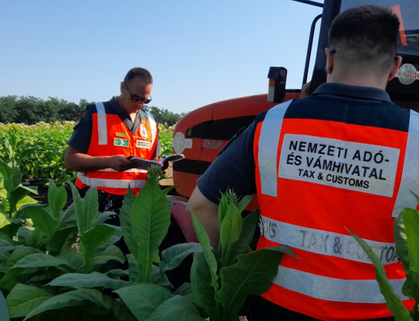 Nem tűnhet el nyomtalanul dohány!               