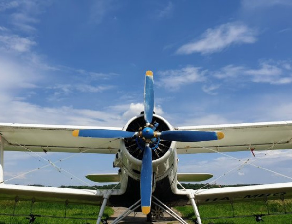 Jön a szúnyoggyértítés - Tudja, mit érdemes tennie?