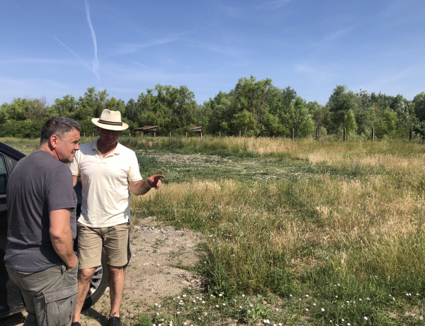 Természet és tudomány - A Nyíregyházi Egyetem szakmai támogatásával újulhat meg a hajdú-bihari Esztár egy vizes élőhelye