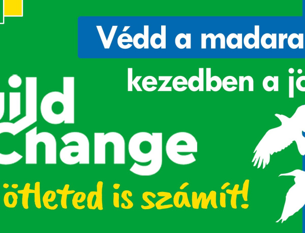 Védd a madarakat, kezedben a jövő!                           