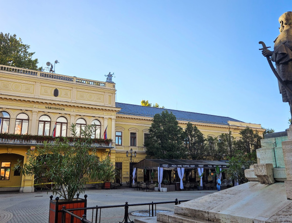 Ezeket az ingatlanokat kívánja bérbe adni az önkormányzat 