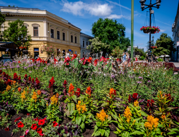 Elképesztő siker az Entente Florale Europe-on - Ezüst minősítés és maximális pontszámmal különdíj a rangos versenyen!