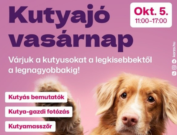 Kutyajó vasárnap lesz a Korzó Bevásárlóközpontban - Egész napos kutyás rendezvényt szerveznek
