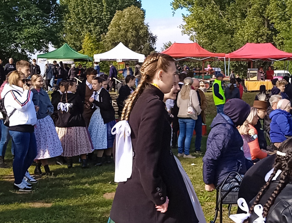 Szüreti nap Kistelekiszőlőben – sok év után újra együtt ünnepeltek