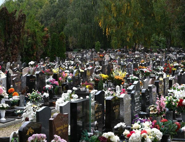 Felkészültek a mindenszenteki forgalomra az Északi temetőben