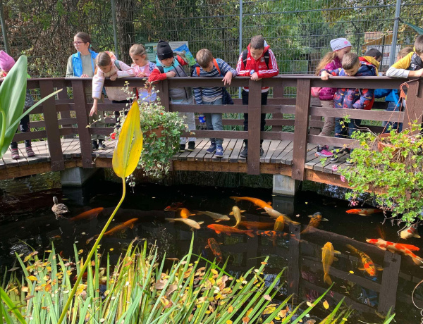A hosszú hétvégén megrohamozták a családok Nyíregyházát