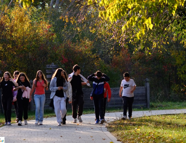 Szünetelő – Tematikus programok a Sóstói Múzeumfaluban