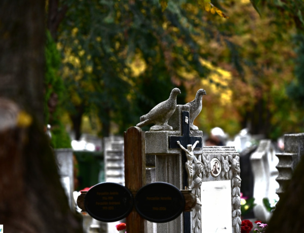 Fontos határidők és változások a nyíregyházi Északi temetőben - lejáró sírhelyek, újraváltási díjak 