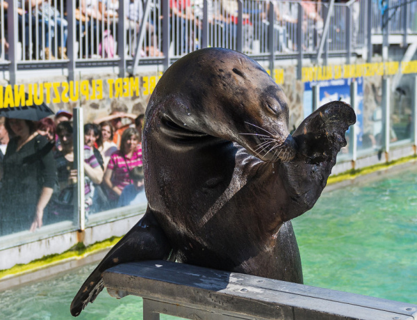 Több mint 600 ezer vendégéjszaka a hosszú hétvégén – Nyíregyháza a nyertesek között!