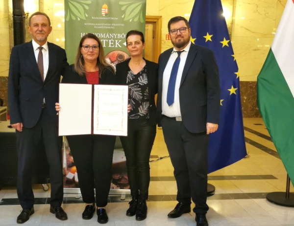 Komoly elismerés - Start Plusz díjat nyert a NYÍRVV hajléktalan közfoglalkoztatási programja