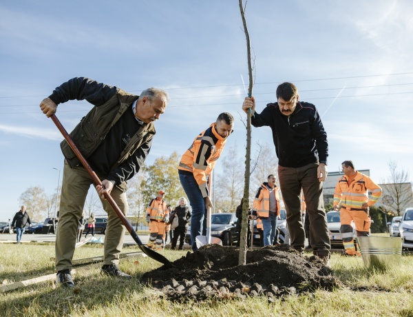 Új konstrukcióban zöldülnek a közutak menti területek