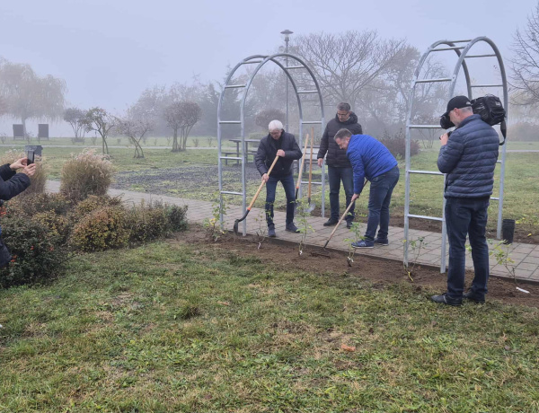 Városszépítés – új rózsalugas díszíti a Bujtosi-tó környékét