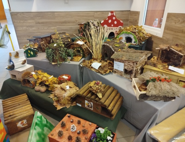 Sünmentő küldetés a Bem József Általános Iskolában – a gyerekek saját készítésű téli menedékei várják a látogatókat