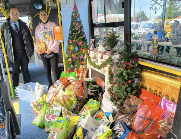 Jótékonysági kutya- és macskaeledel-gyűjtés az adventi buszon