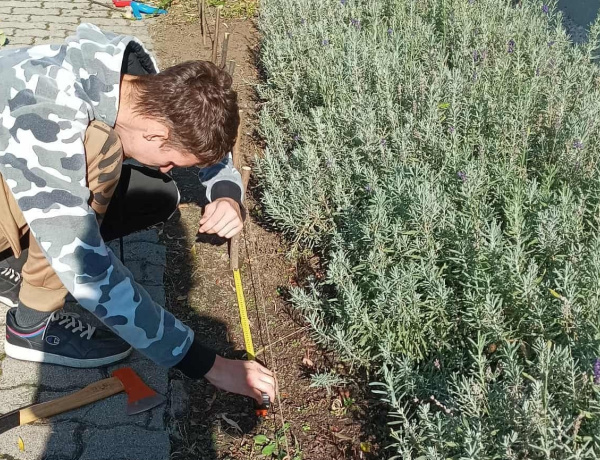 Különdíjat nyert a Nyíregyházi RIDENS környezeti nevelési projektje