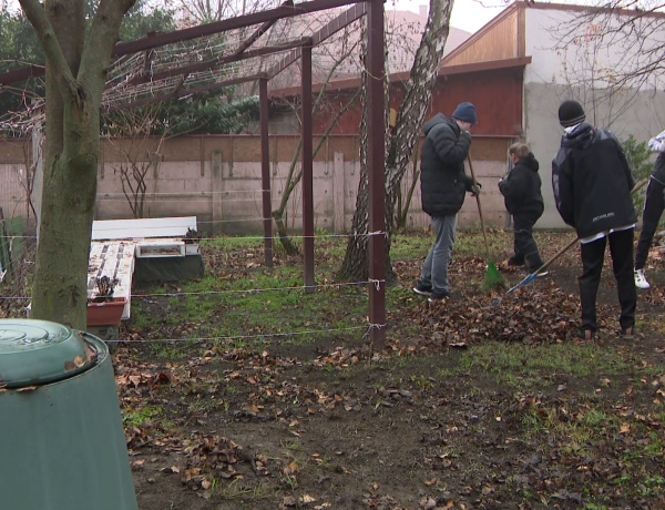 Sikerek a RIDENS-ben – Komposztálásért és levendulaágyásért is járt a díj