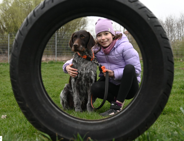 Óvjuk kedvenceinket! – Így vigyázzunk négylábú barátainkra télen!