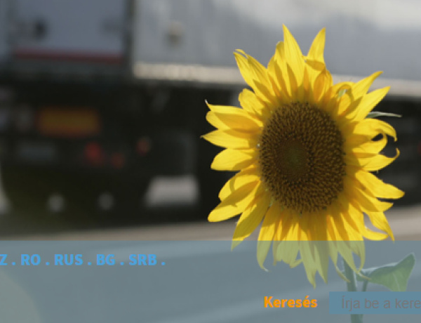 Újévkor akadozik az útdíjfizetés: előre kell megvenni az e-matricát és feltölteni a HU-GO-t