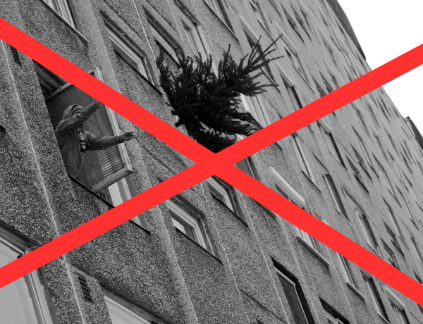 Januárban szervezetten gyűjtik be a kidobott karácsonyfákat Nyíregyházán