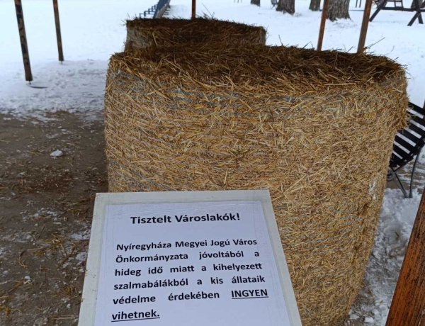 Vörös kód a hideg miatt: ingyen szalmával segítik az állattartókat Nyíregyházán