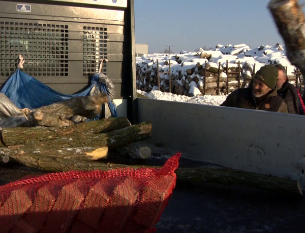 Ne maradjon senki fűtés nélkül – Több száz nyíregyházi család kap tűzifát a tél közepén