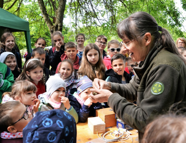 Évértékelő – Több mint 11 ezer látogató a nyíregyházi erdei iskolában