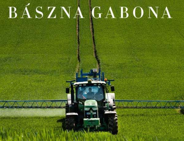 Nem maradnak magukra a gazdák: segítséget kapnak a Bászna Gabona Zrt. miatt bajba jutott termelők