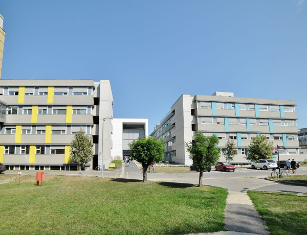 Gyöngyökből font együttérzés a Jósa András Tagkórházban