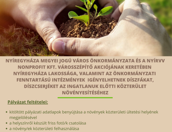 „Ültess egy fát a holnapért!” – városszépítő akció indul Nyíregyházán