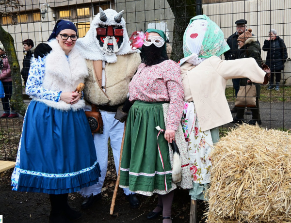 Télűzés – Ötödik alkalommal szerveztek farsangi felvonulást a Jósavárosban