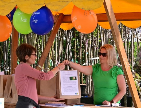 Indulhat a városszépítés! – Idén is pályázhatnak az érdeklődők a NYÍRVV akcióira