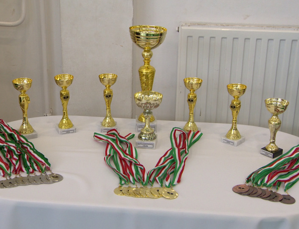 Ismét versenyeztek a kollégiumok Nyírszőlősön                          