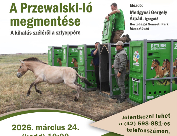 A Przewalski-ló megmentéséről tartanak előadást a könyvtárban