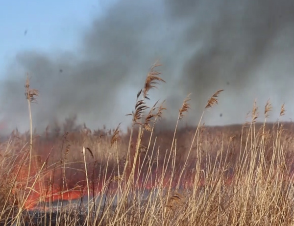 Szabadtéri tüzek – Szabályok, kockázatok, melyek figyelmeztetésként szolgálnak