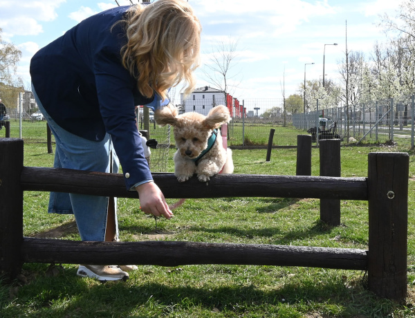 Tavasszal folytatódik a Kutyázz, Nyíregyháza! program