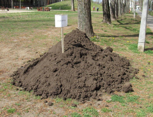 Megkezdi a balkonföldek kihelyezését a NYÍRVV a társasházi övezetekben