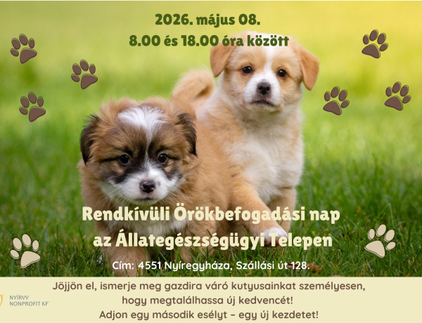 Rendkívüli örökbefogadási napot tartanak Nyíregyházán